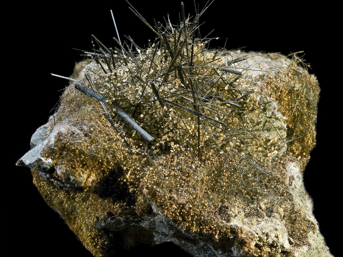 Actinolite