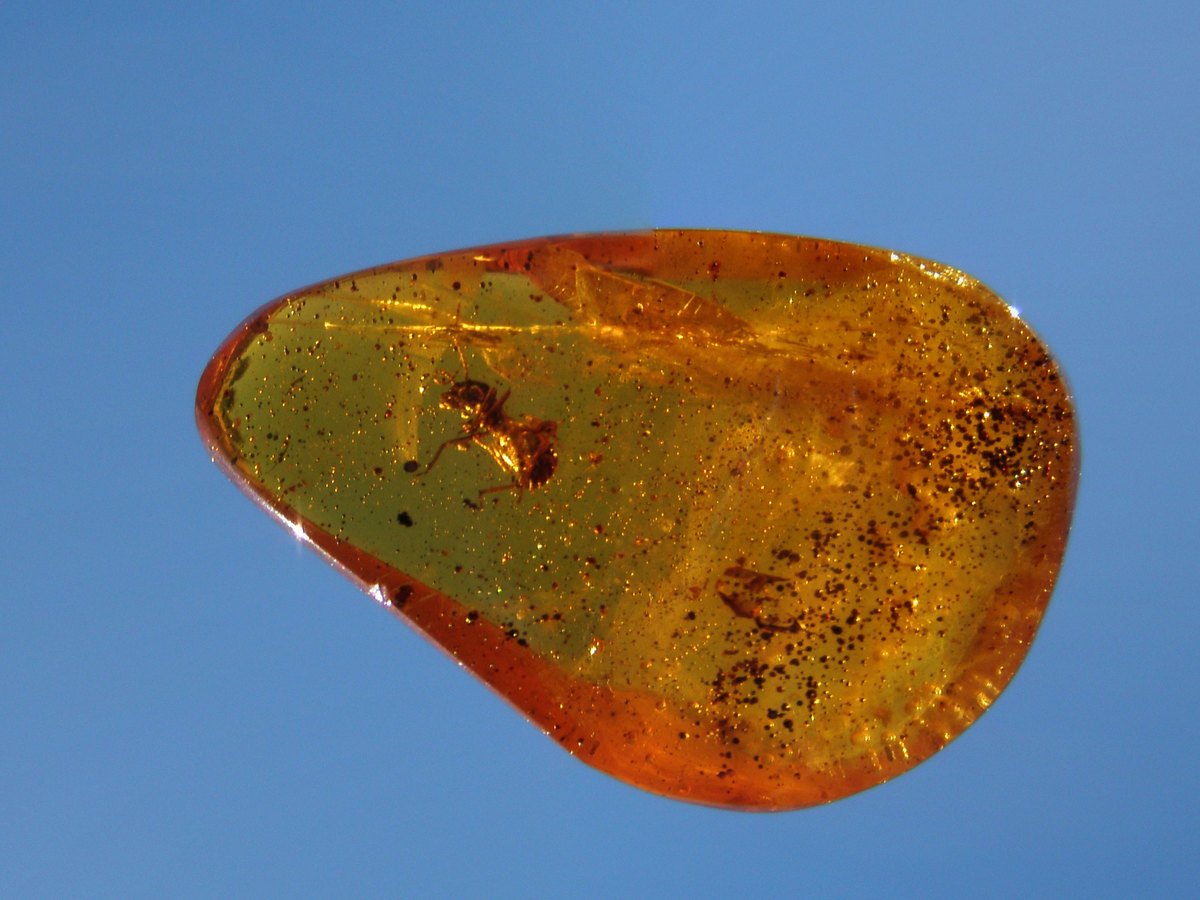 Amber