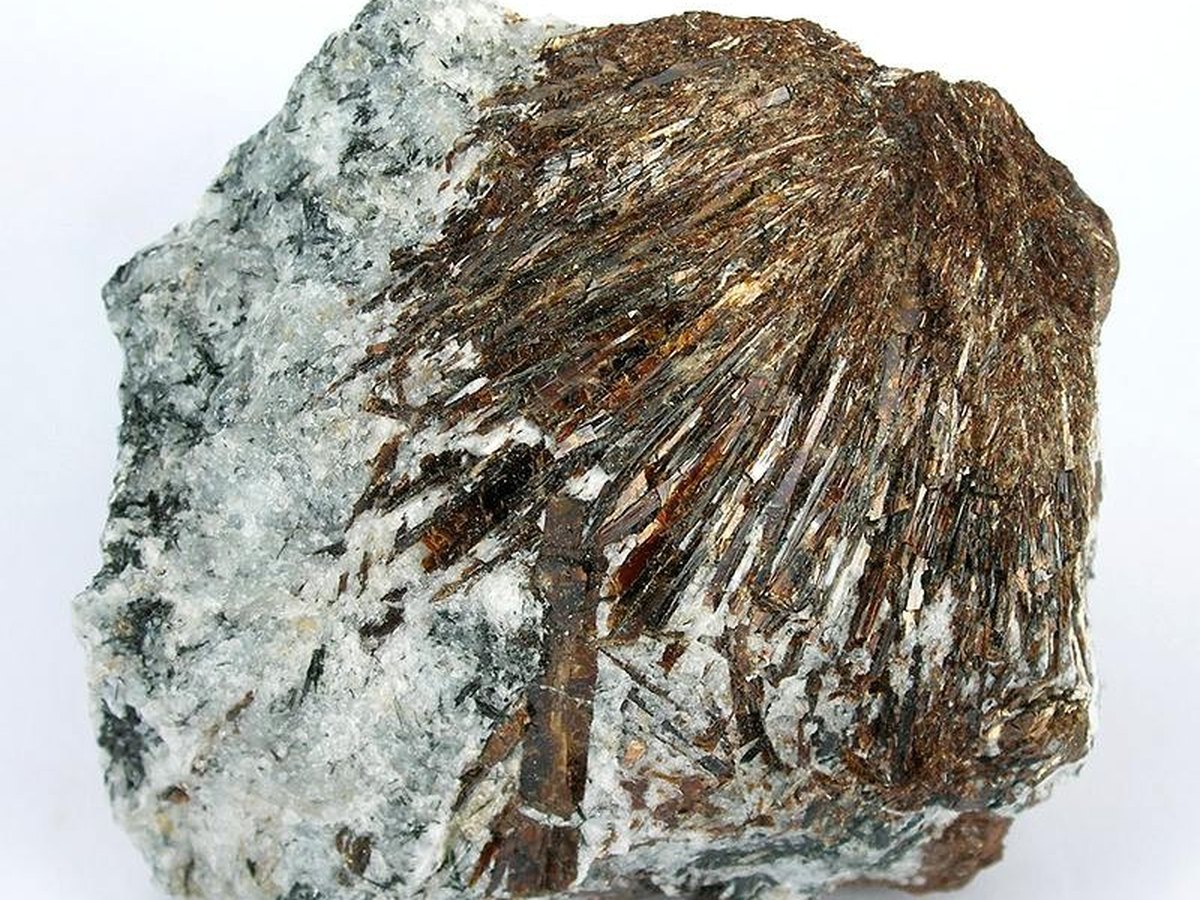 Astrophyllite