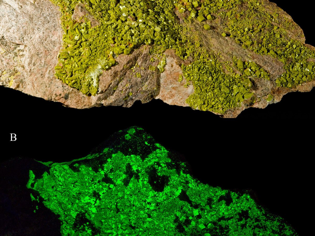 Autunite