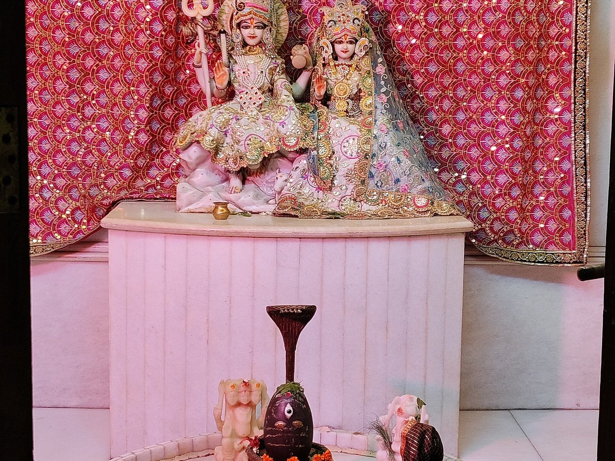 Black Shiva Lingam