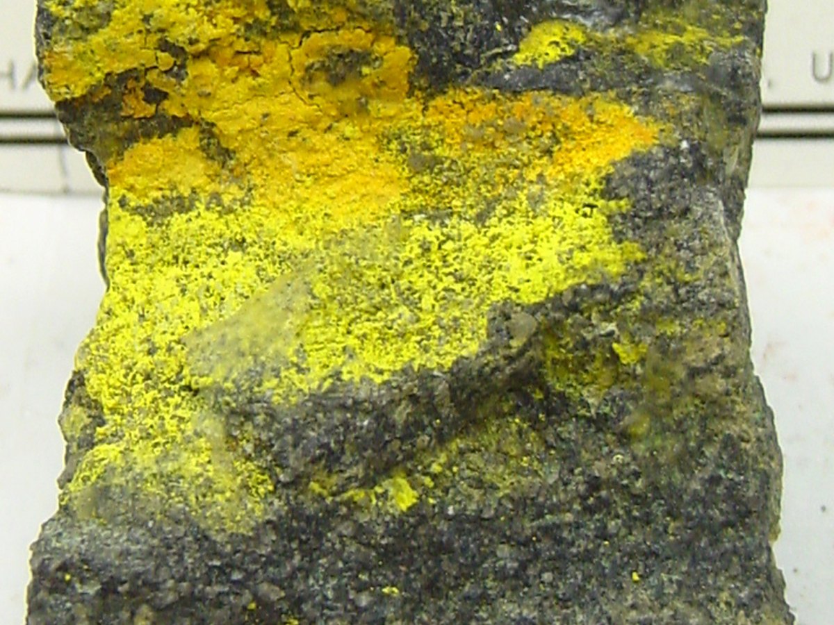 Carnotite