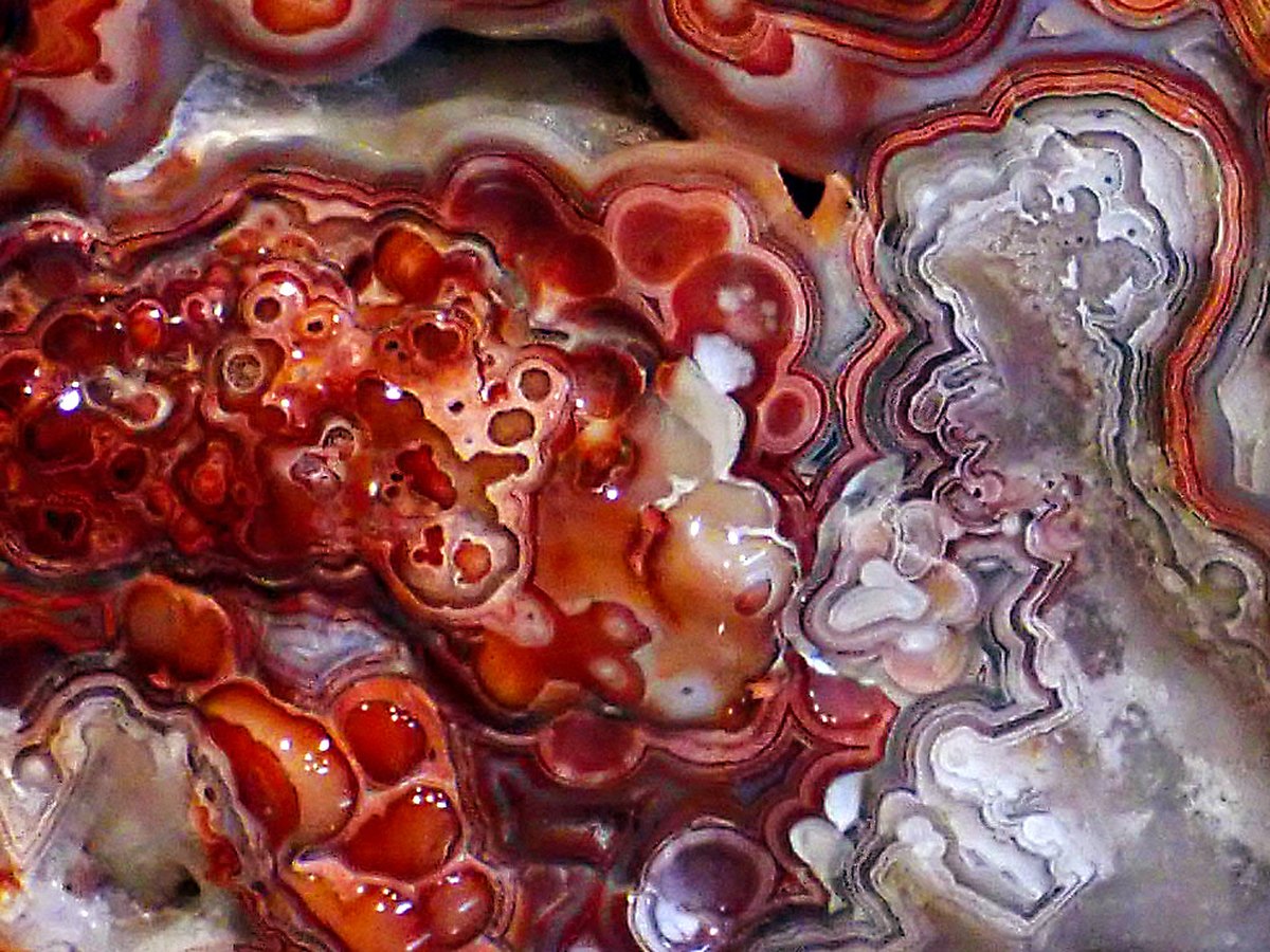 Crazy Lace Agate