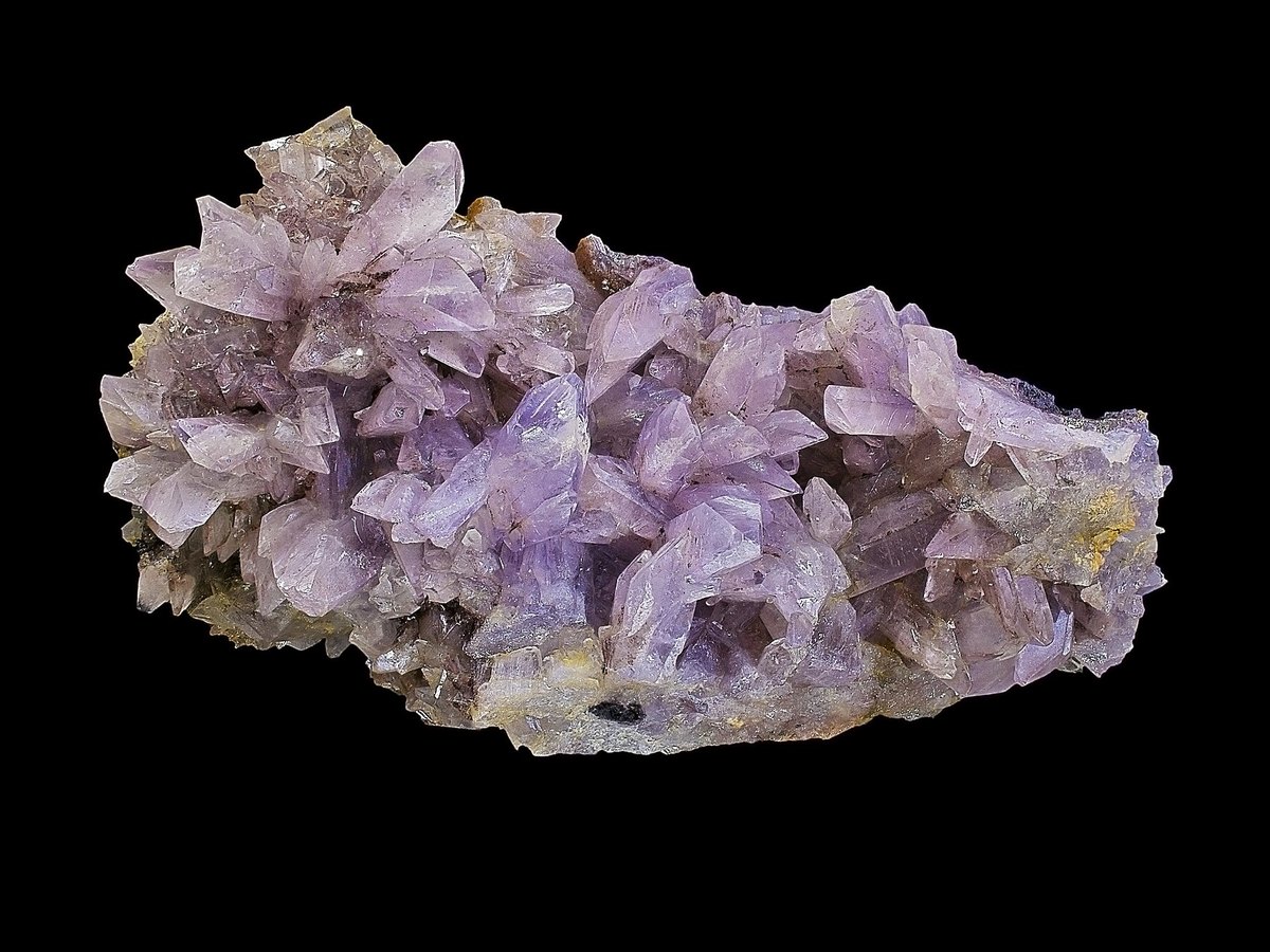 Creedite