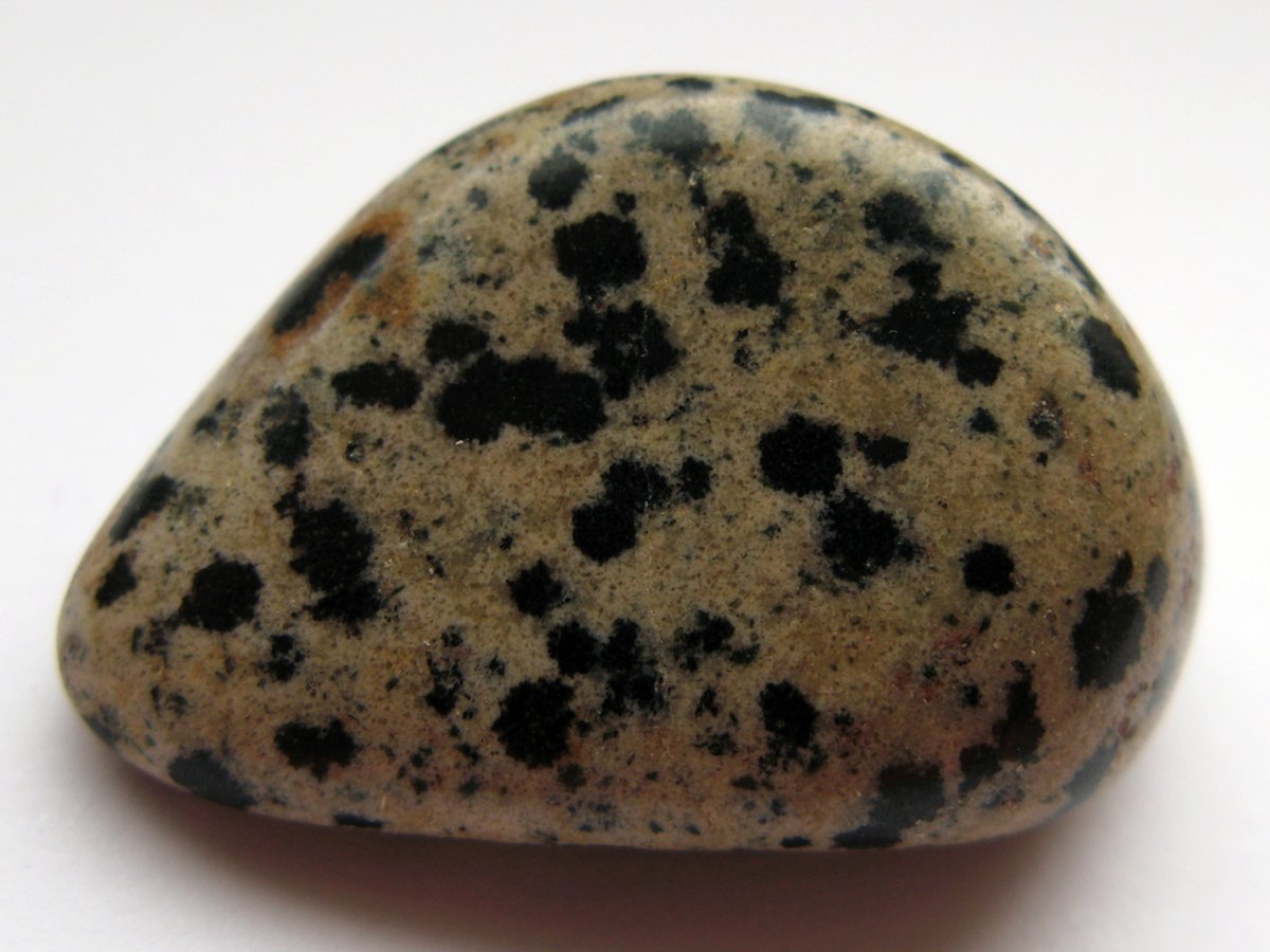 Dalmatian Jasper