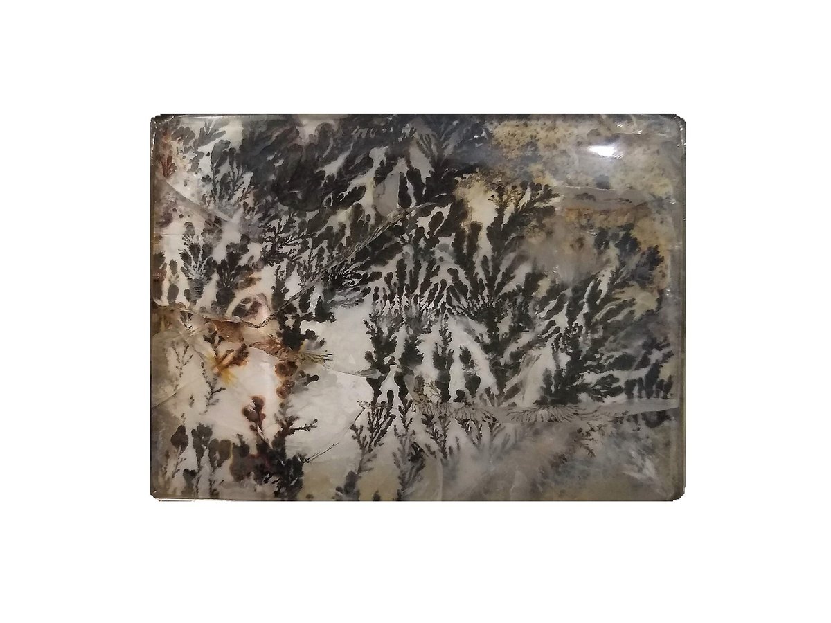 Dendritic Agate