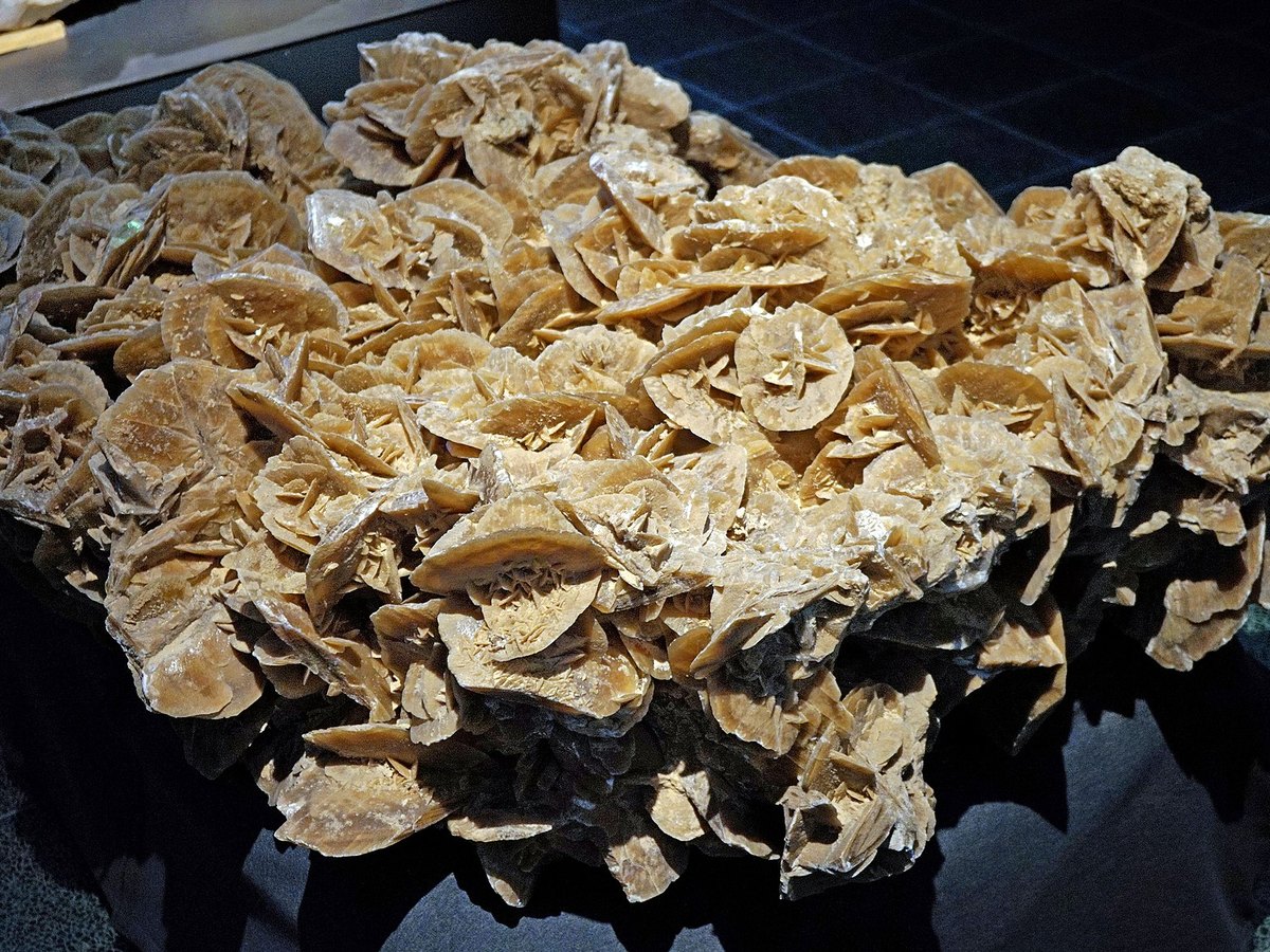 Desert Rose