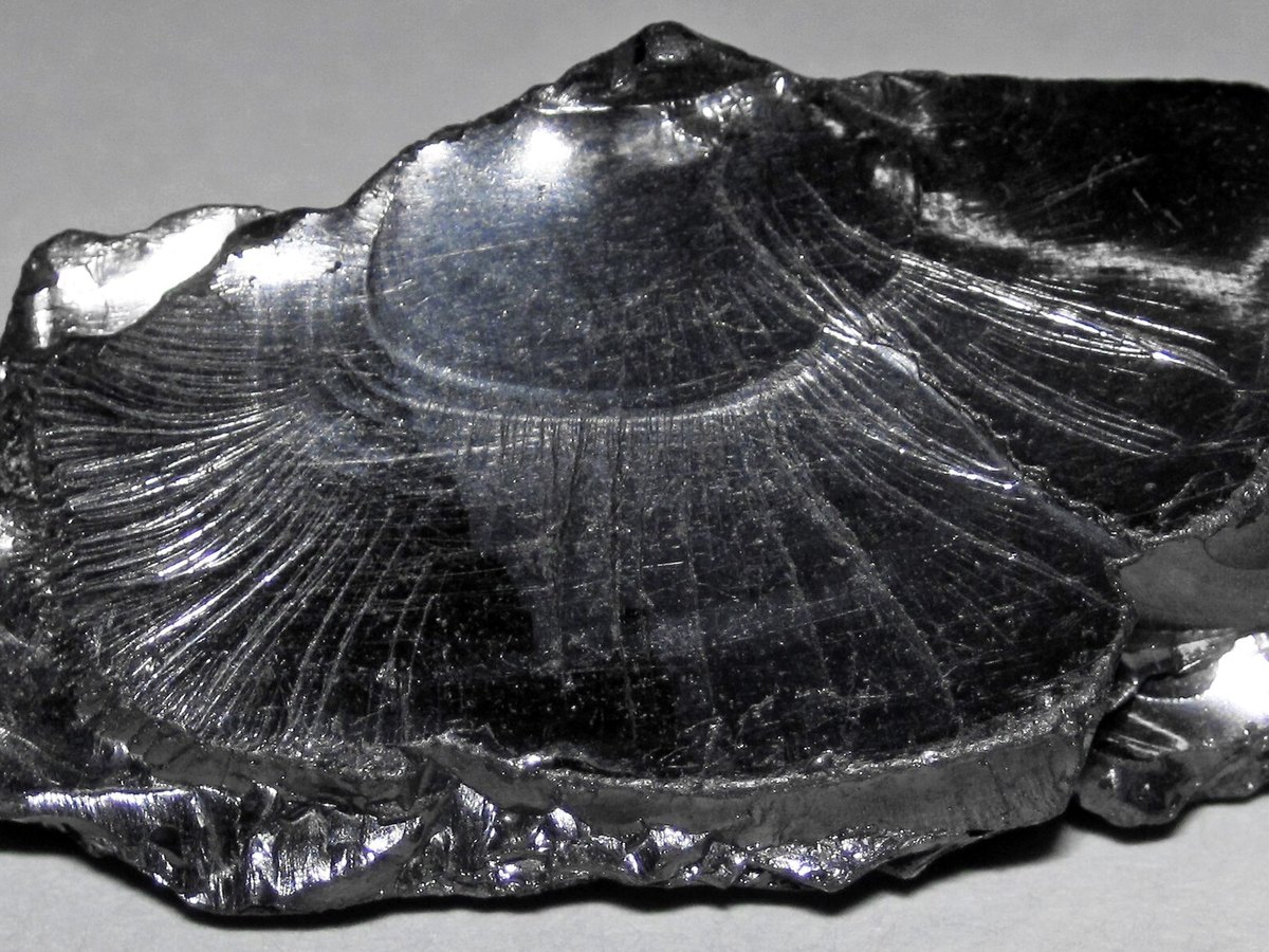 Elite Shungite