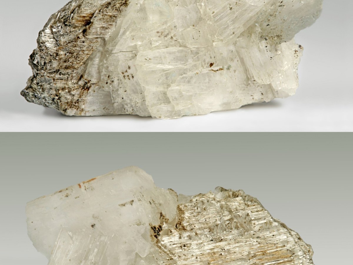 Epididymite