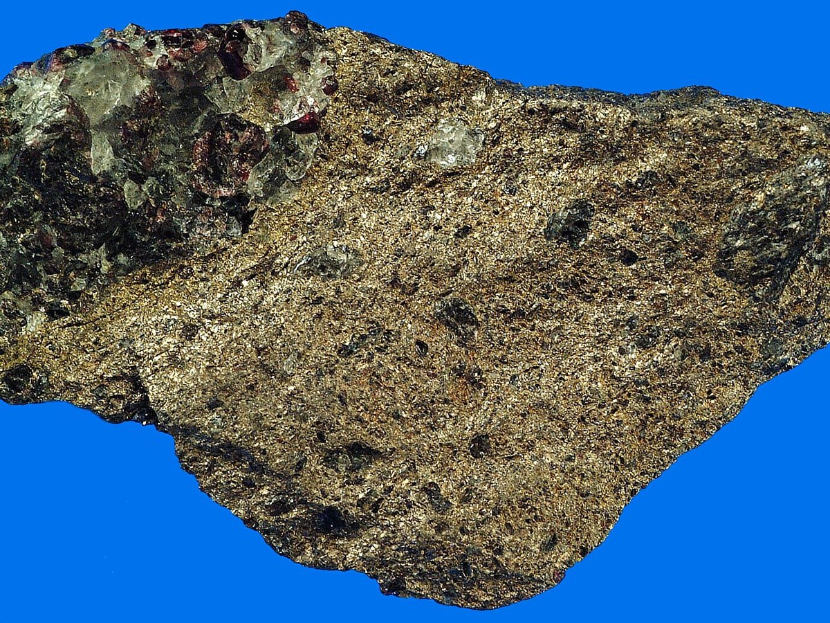 Garnet in Biotite