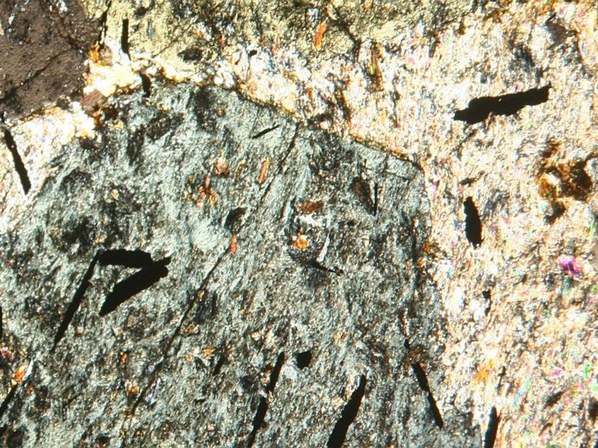 Garnet in Staurolite