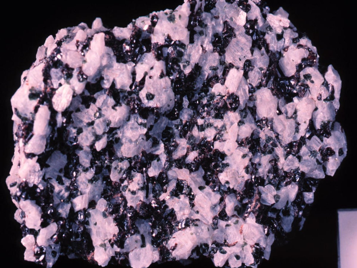 Garnet in Wollastonite