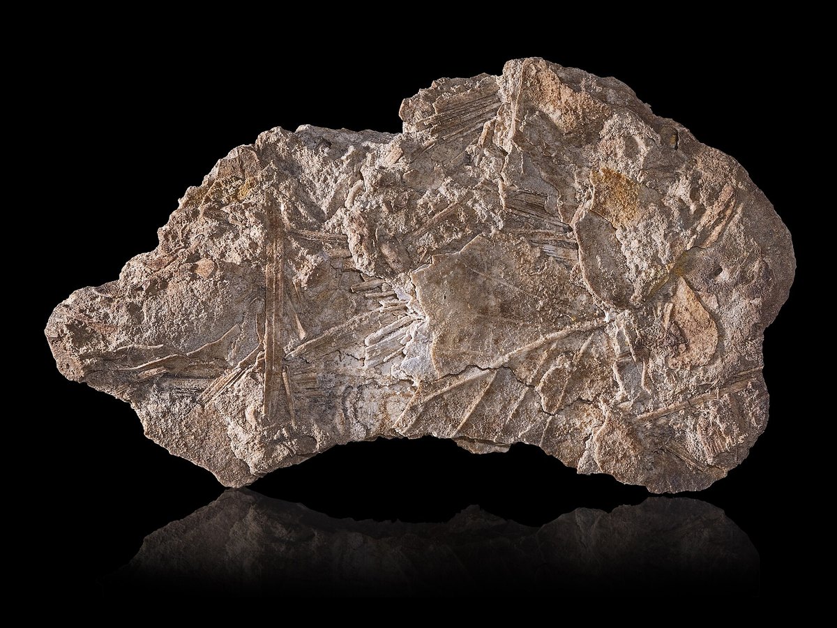 Geyserite
