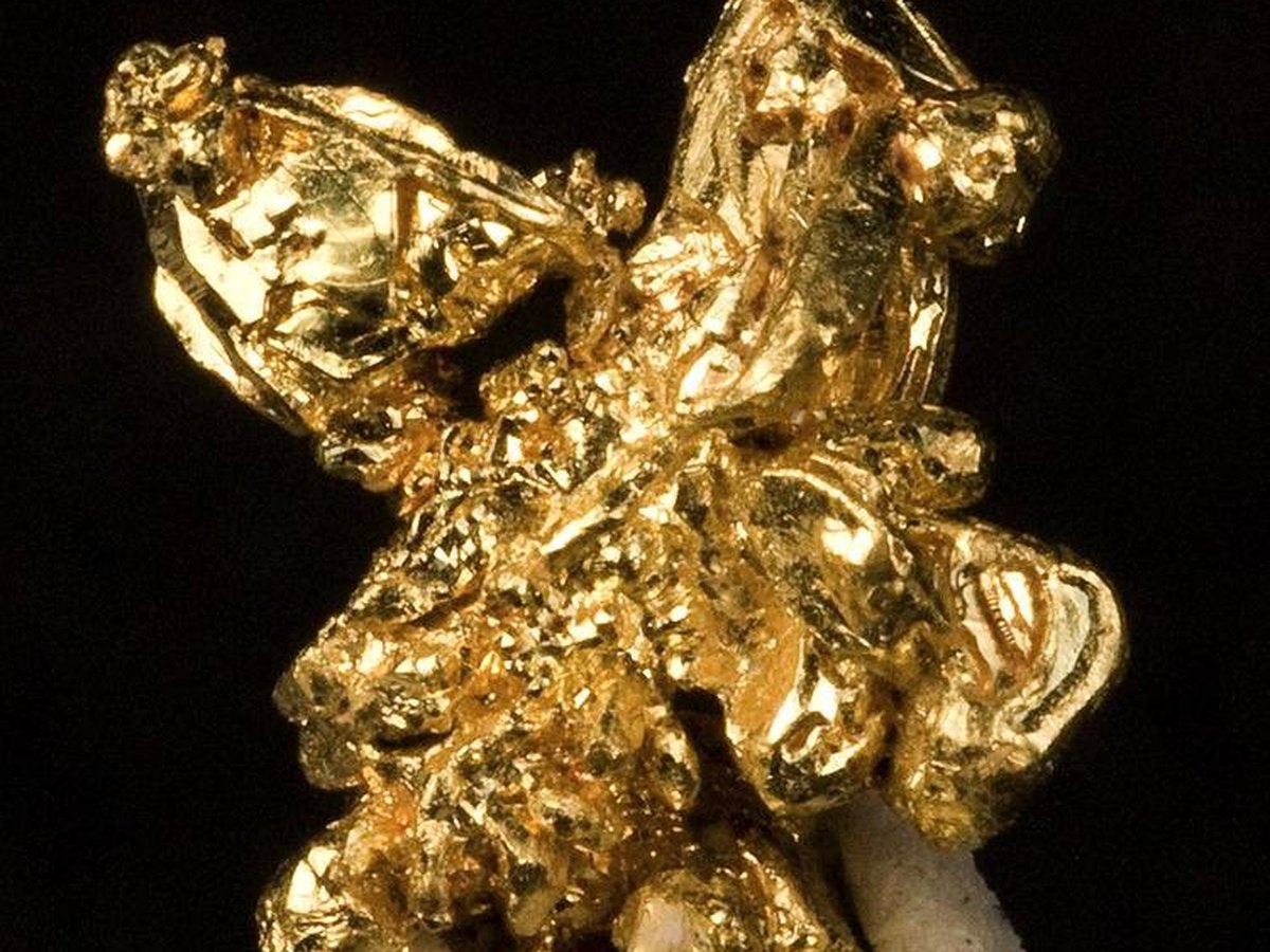Gold