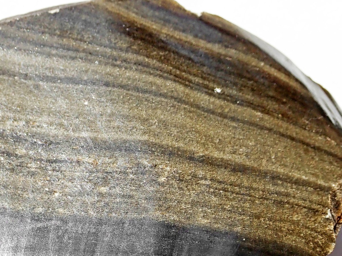 Golden Sheen Obsidian