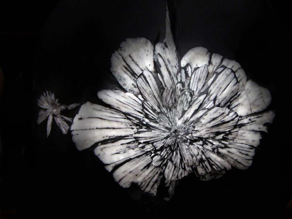Plum Blossom Jasper