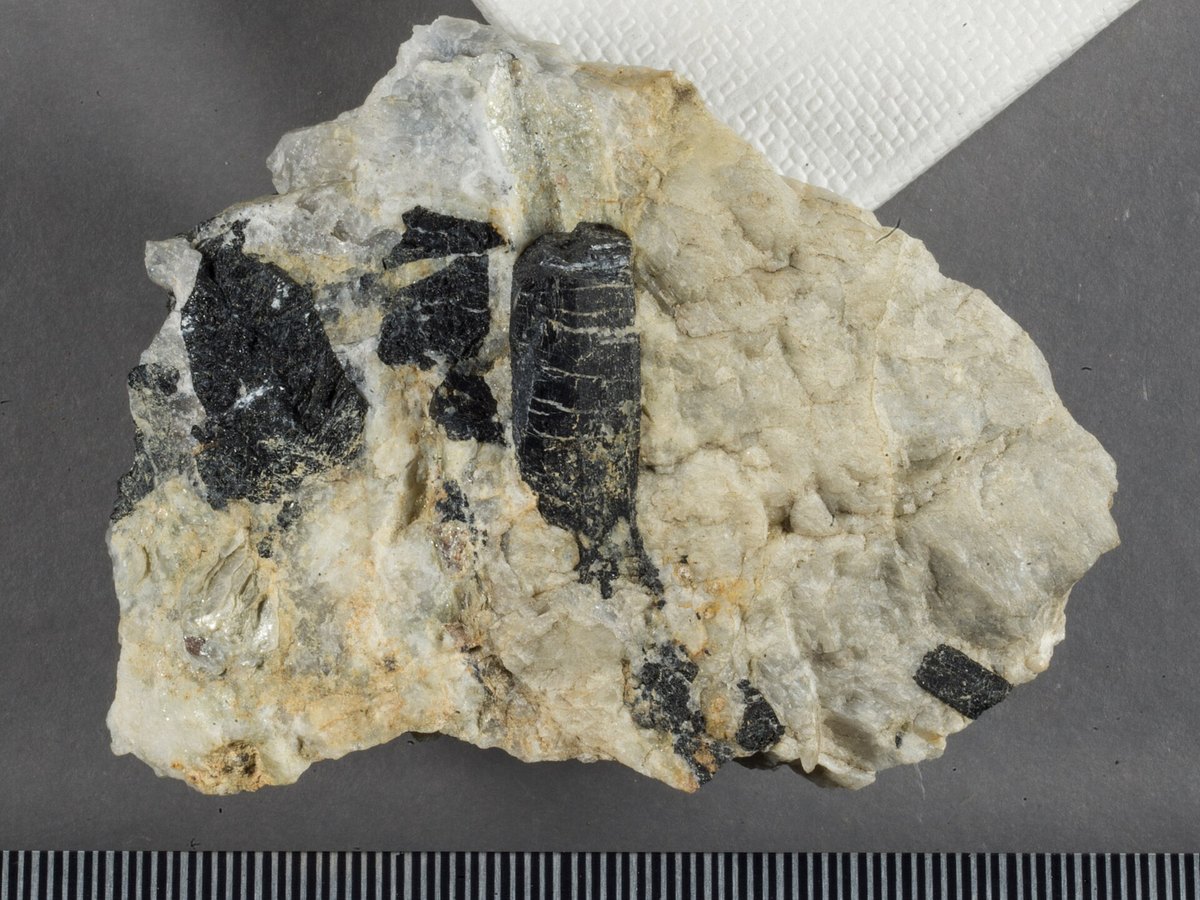 Black Tourmaline